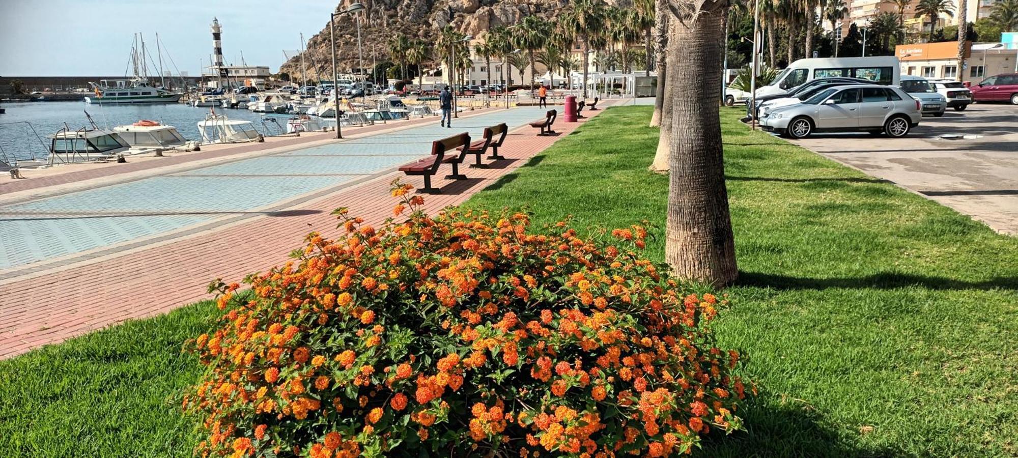Apartamento Tranquilo Cerca De Buena Piscina Y Con Buen Aire Acondicionado Aguilas Exterior photo