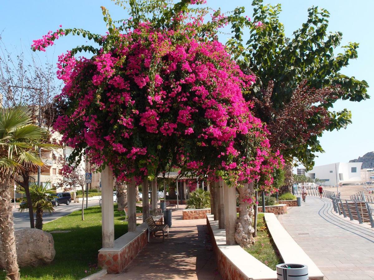 Apartamento Tranquilo Cerca De Buena Piscina Y Con Buen Aire Acondicionado Aguilas Exterior photo